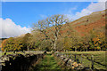 NZ0201 : Walled Track approaching Arkle Beck by Chris Heaton