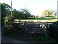 SO2821 : Penned sheep at Pont Esgob by Christine Johnstone