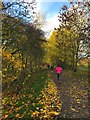 SK2071 : Autumn colour on the Monsal Trail by Graham Hogg