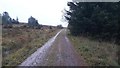 NY1006 : Track in Blengdale Forest by Graham Robson