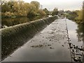 SK4033 : Borrowash weir is dry by David Lally