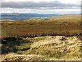 NY7738 : Peat haggs and grips on moorland above Windy Brow by Mike Quinn