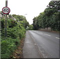 ST1988 : Speed limit reminder, Newport Road, Lower Graig-y-rhacca by Jaggery