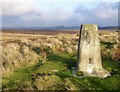  : Trig point on Eglingham Moor by Russel Wills