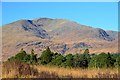 NN2444 : Stob Ghabhar from Victoria Bridge by Jim Barton