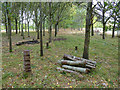 SP2260 : Log pile, Red Hill estate by Stephen Craven