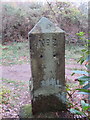 SJ2484 : Thurstaston Recreation Ground Boundary Stone #2 by John S Turner