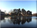 NS5467 : Victoria Park Pond by Graham Hogg