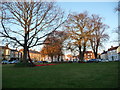 NZ5208 : A fall of poppies, West Green, Stokesley by Christine Johnstone