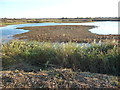 SE8833 : Reedbed Lake from St Helen's Farm viewpoint by Christine Johnstone