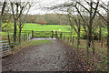 ST1137 : Gate into sheep pasture, Quarkhill by Derek Harper