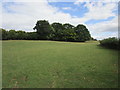 SO7334 : Grass field near Clencher's Mill by Jonathan Thacker