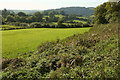 SX8457 : Farmland by Hoyle Copse by Derek Harper