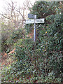 TG5100 : Signpost on Hall Road by Geographer