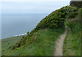 NZ9801 : Cleveland Way near Ravenscar by Mat Fascione