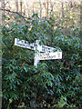 TG4900 : Signpost on Browston Lane by Geographer