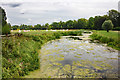 SJ9822 : The River Sow at Shugborough Park by Jeff Buck