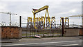 J3575 : Gantry crane 'Samson', Belfast by Rossographer