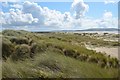 SS4299 : Pembrey Sand Dunes by Colin Cheesman