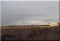 TL8098 : Breckland landscape by David Pashley