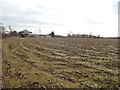 SJ3360 : Maize stubble in a field near The Dingle by Eirian Evans