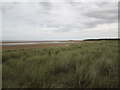 TF8745 : Over  the  grassed  sand  dunes  to  Holkham  Bay by Martin Dawes