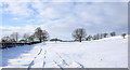 NZ1136 : Snowed field south of Thornley by Trevor Littlewood