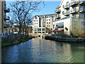 TL4821 : Truncated end of River Stort Navigation by Robin Webster