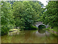 SJ6641 : Canal south of Cox Bank in Cheshire by Roger  D Kidd