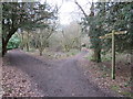 TQ2352 : North Downs Way near Reigate by Malc McDonald