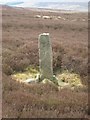  : Old Boundary Marker on Bilsdale West Moor, Hawnby parish by Milestone Society