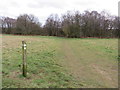 TQ2355 : Bridleway marker on Banstead Heath by Malc McDonald