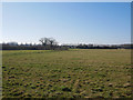 TF8905 : Ashill Common looking towards car park by David Pashley