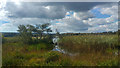 SZ0384 : West side of Little Sea, Studland Heath, Dorset by Phil Champion