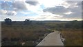 SZ0284 : Boardwalk at Studland and Godlingston Heath National Nature Reserve by Phil Champion