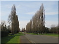 TQ2367 : Morden cemetery by Malc McDonald