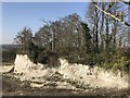 TF7104 : Disused chalk pit near Barton Bendish, Norfolk by Richard Humphrey