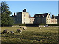 TQ5243 : Sheep and lambs at Penshurst Place by Marathon