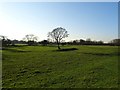 SK2333 : The former mill pond at Sutton Mill by Ian Calderwood