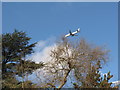 TQ1876 :  Kew Garden trees with airliner above by David Hawgood