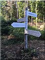 ST1236 : SCC fingerpost at Leigh Lane junction, Crowcombe by Marika Reinholds