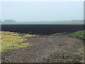 SD4916 : Bare field, Mawdesley Moss by Christine Johnstone