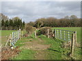 TQ4761 : Public bridleway near Pratts Bottom by Malc McDonald