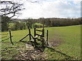 TQ4659 : Stile near Knockholt by Malc McDonald