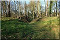 SJ3248 : Earthworks at Erddig Motte and Bailey Castle by Jeff Buck