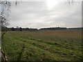 TL8297 : Arable crop and grass headland in STANTA by David Pashley