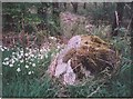 NN1327 : Old Milestone by the A819, opposite Kilchurn Castle by Milestone Society