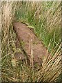 NY7166 : Old Roman Milestone by the Military Way, Haltwhistle by n/a