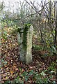 SX7063 : Old Guide Stone north of Reddacleave Kiln Cross by Alan Rosevear