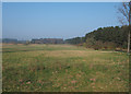 TL7893 : Breckland landscape by David Pashley